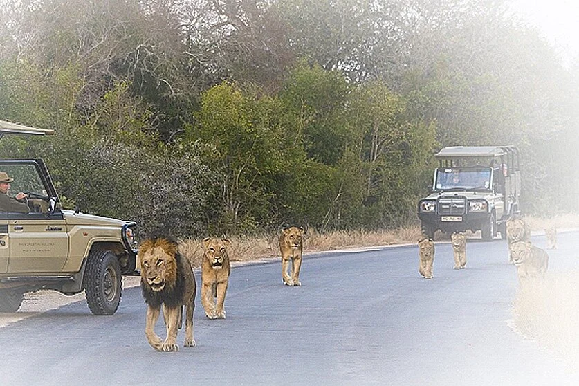 KPS Safaris & Tours