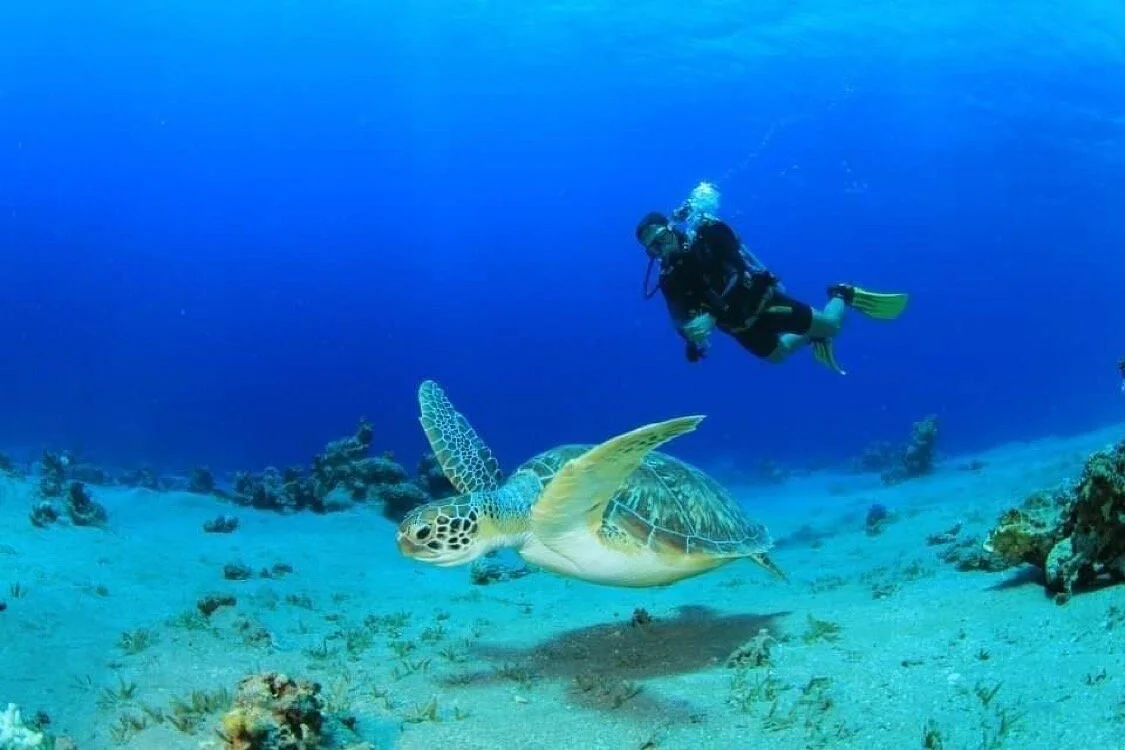 Scuba Zone Dahab