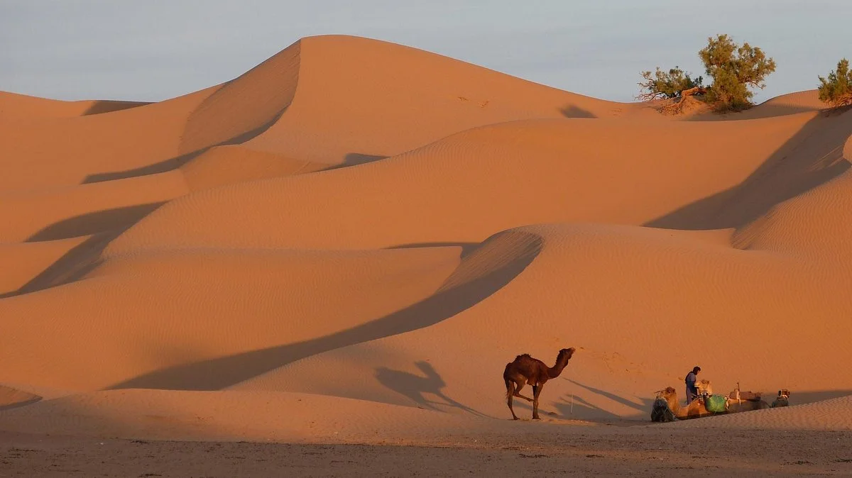 Loud Sahara Day Tours