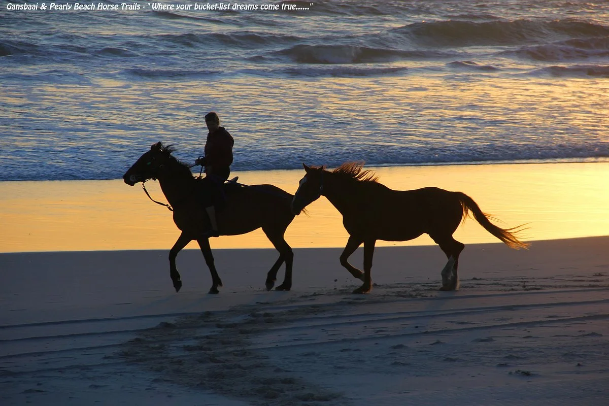 Gansbaai & Pearly Beach Horse Trails