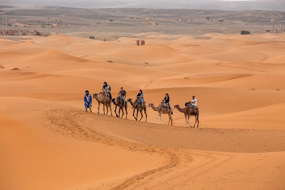 Desert Family Tour