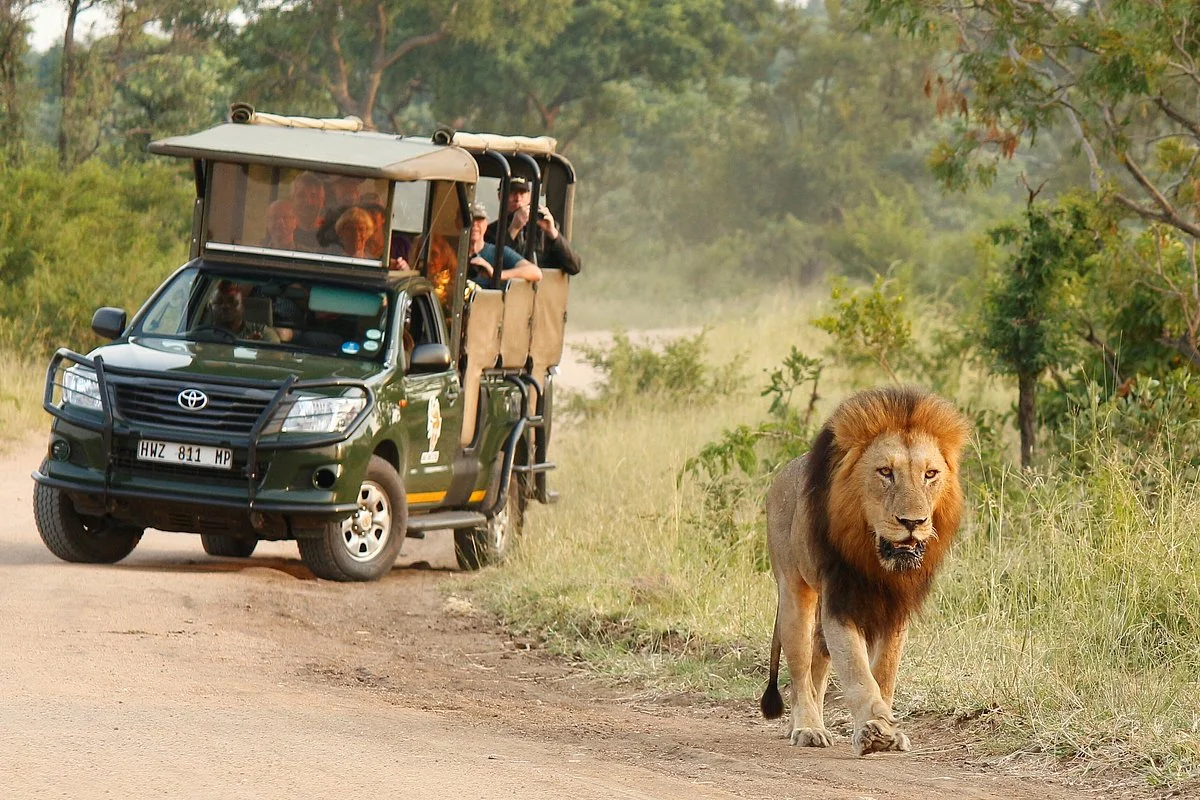 Kurt Safari