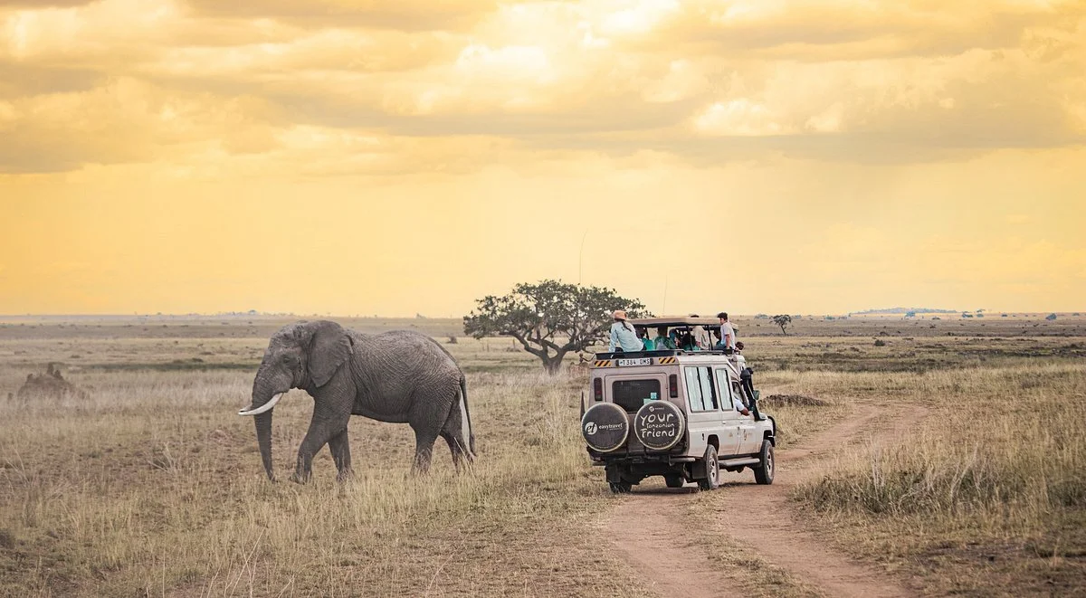 Easy Travel & Tours Ltd
