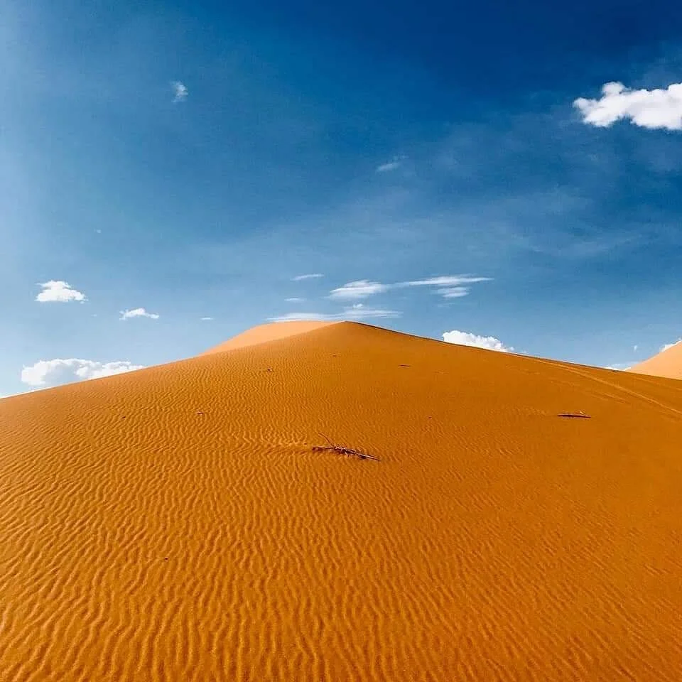 Desert Dream
