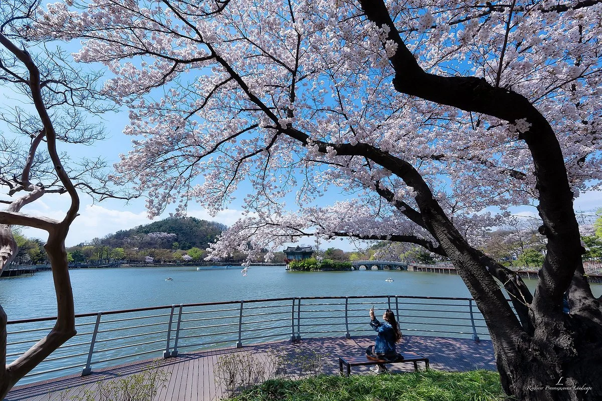 Daegu Duryu Park