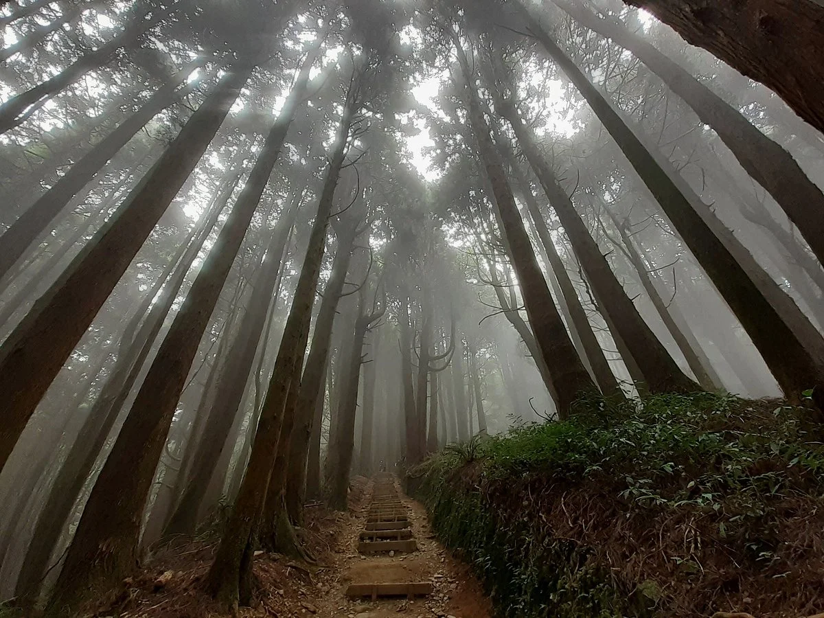 Tefuye Trail