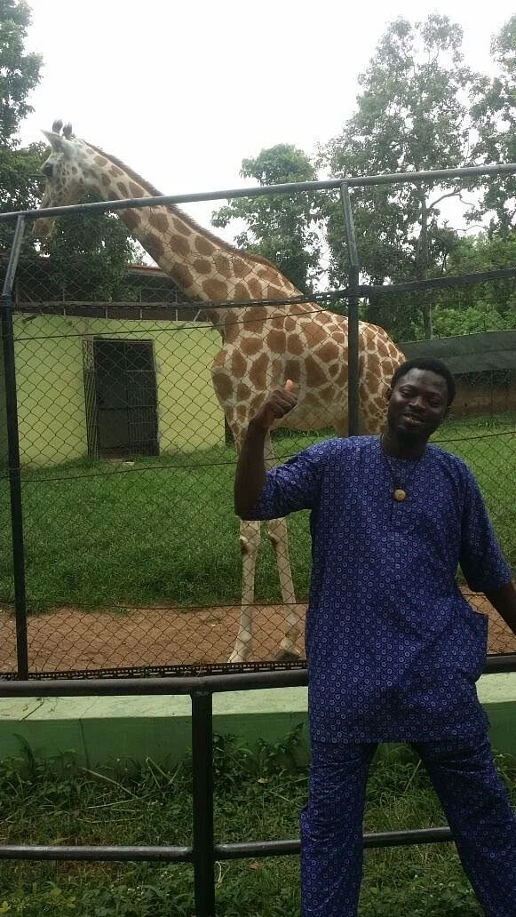 UI Zoo