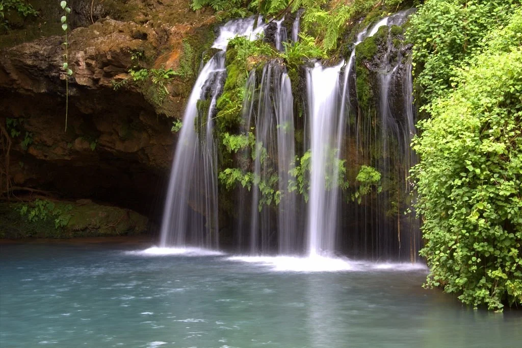 Ngare Ndare Forest Reserve