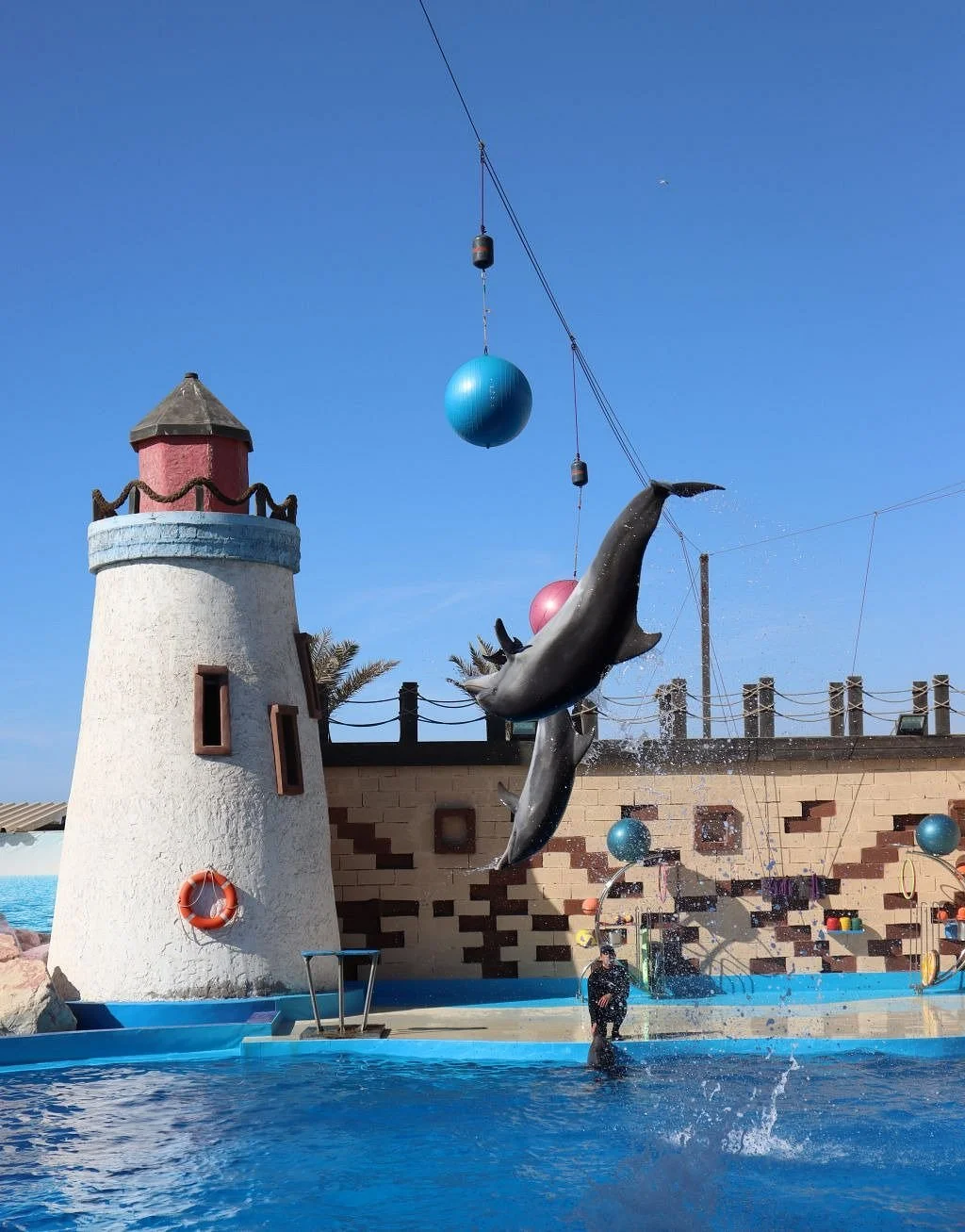Agadir Dolphin World