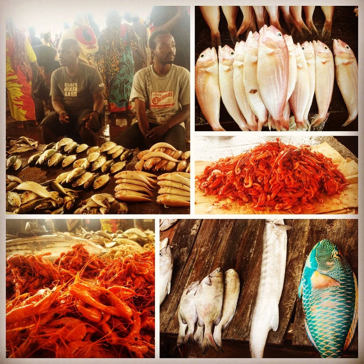 Kivukoni Fish Market