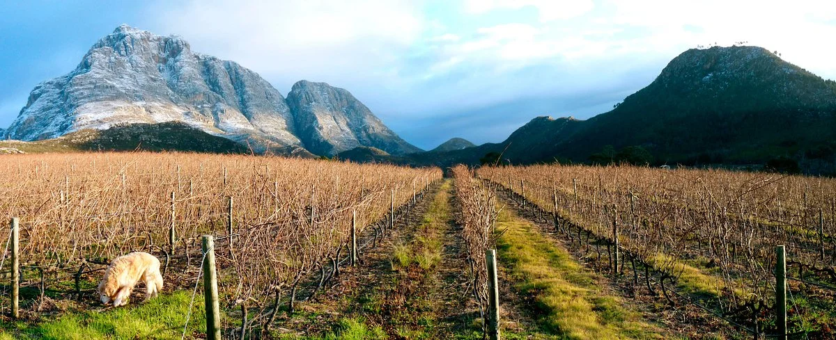 Herold Wine Estate
