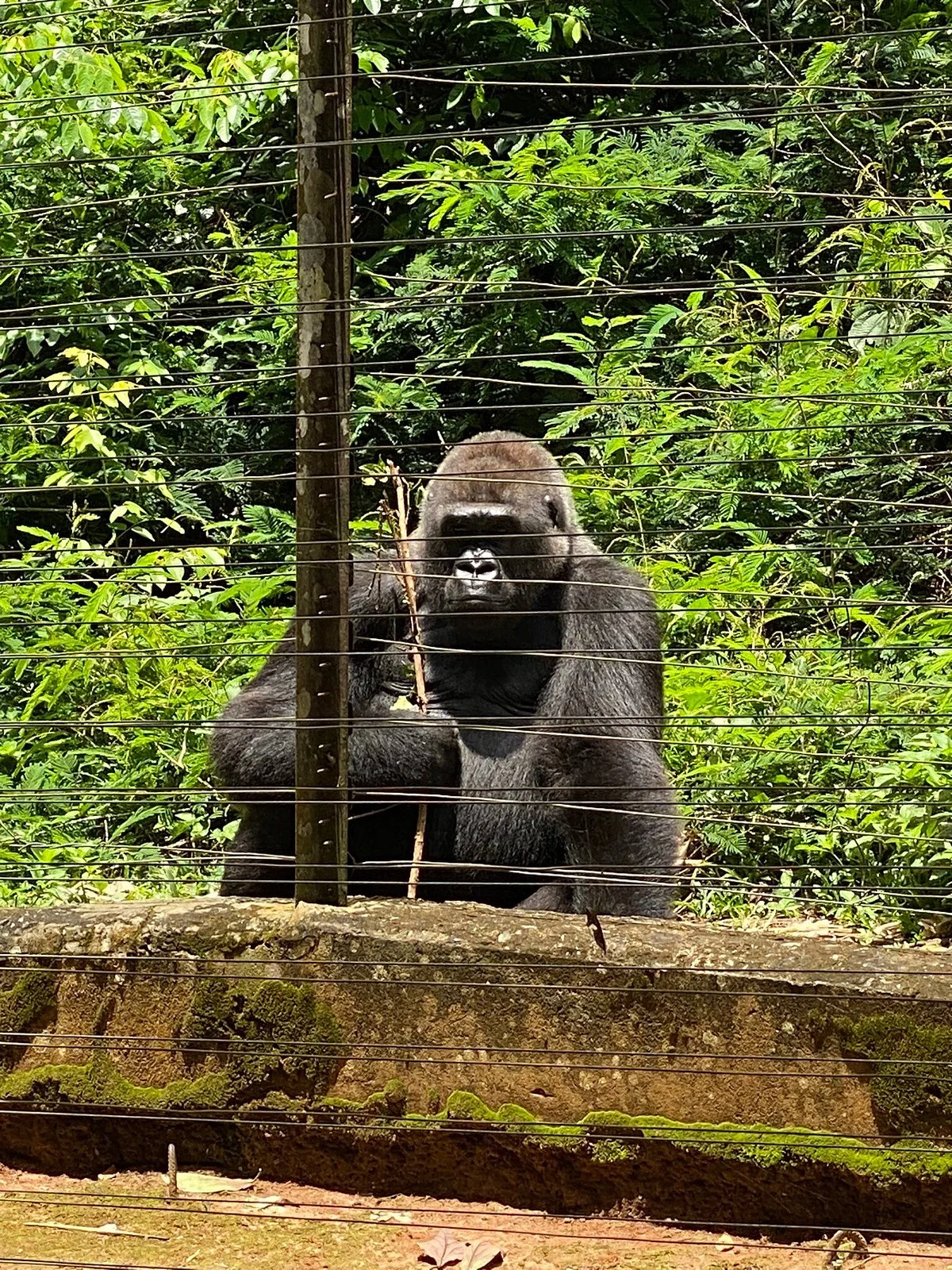 Mefou National Park