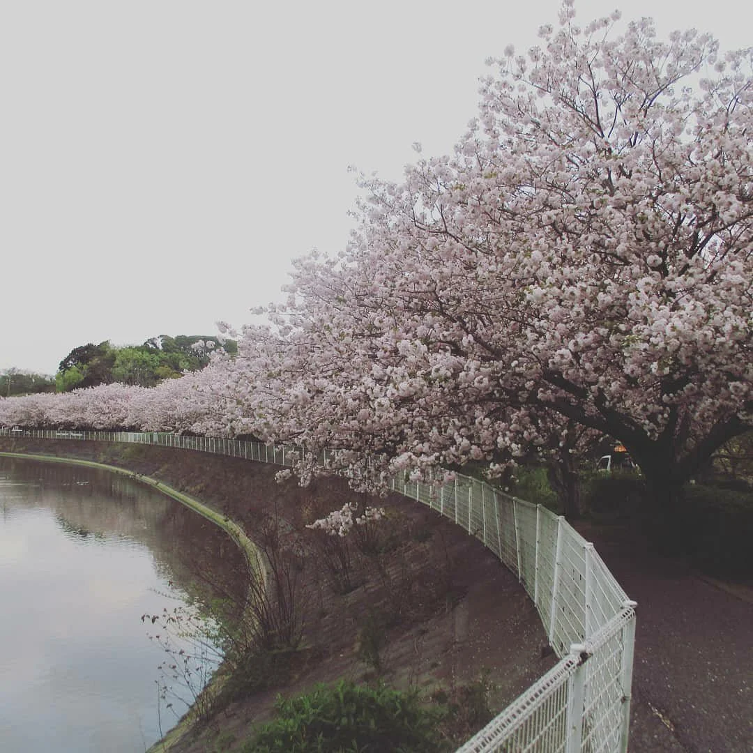 Sodegaura Park