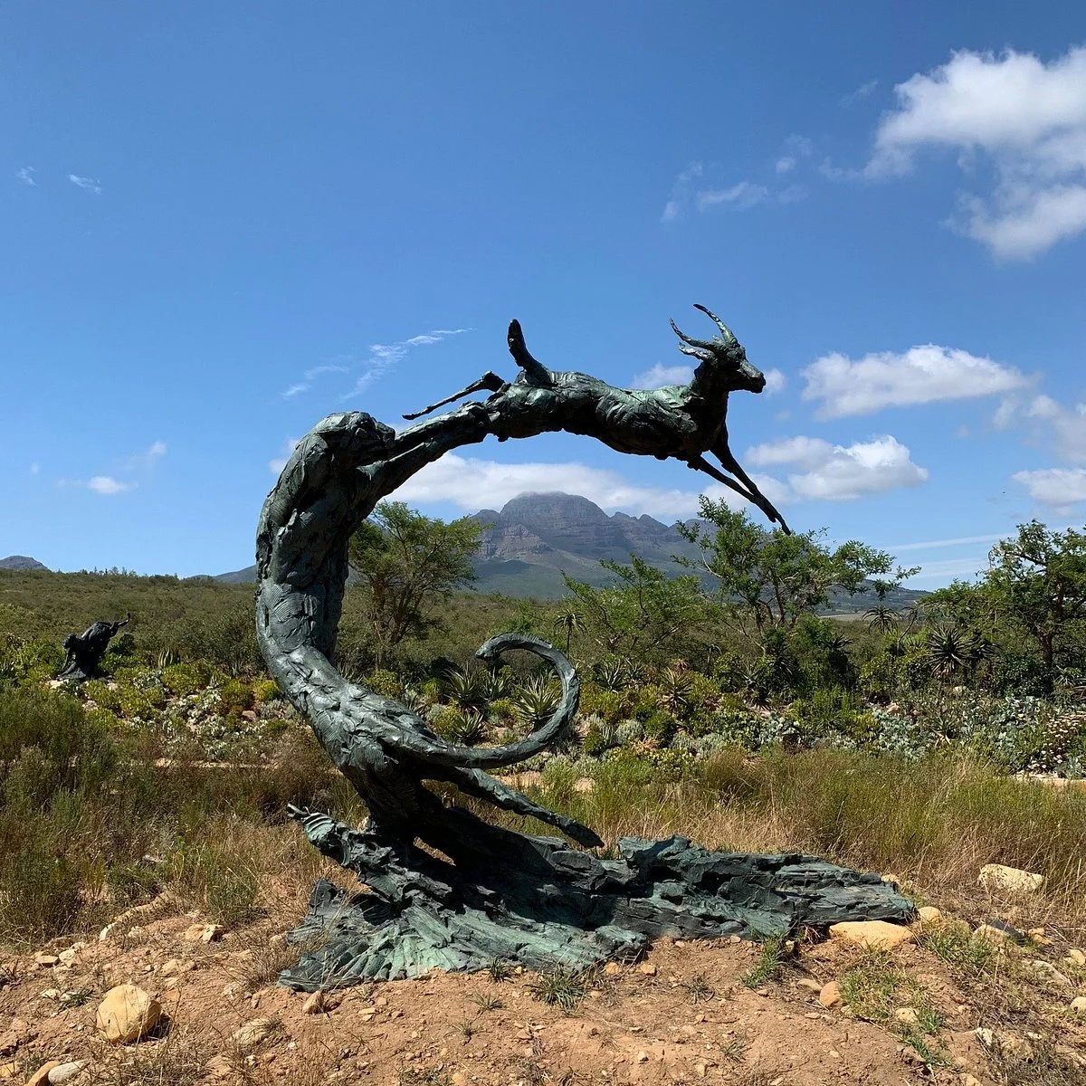 Dylan Lewis Sculpture  Garden