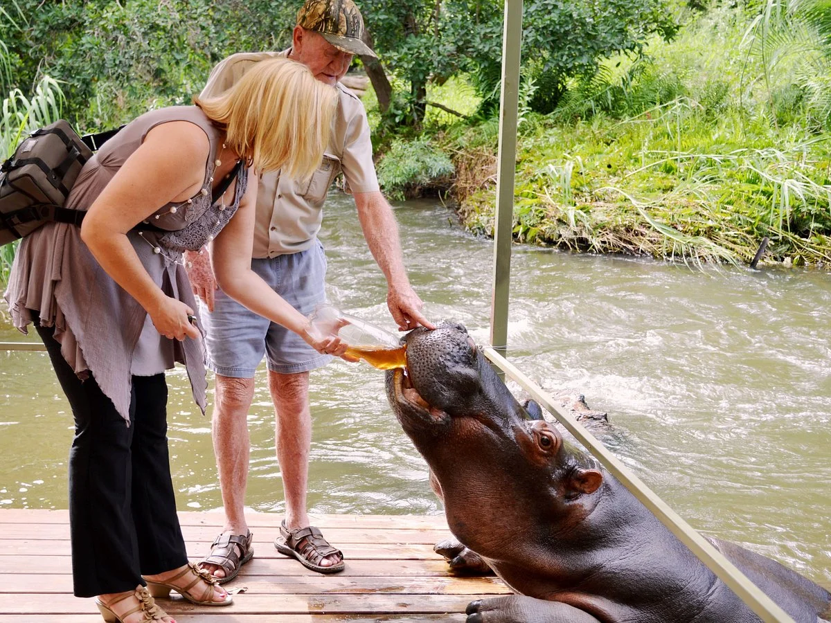 Hippo Jessica