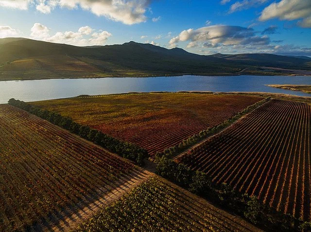 Lomond Wine
