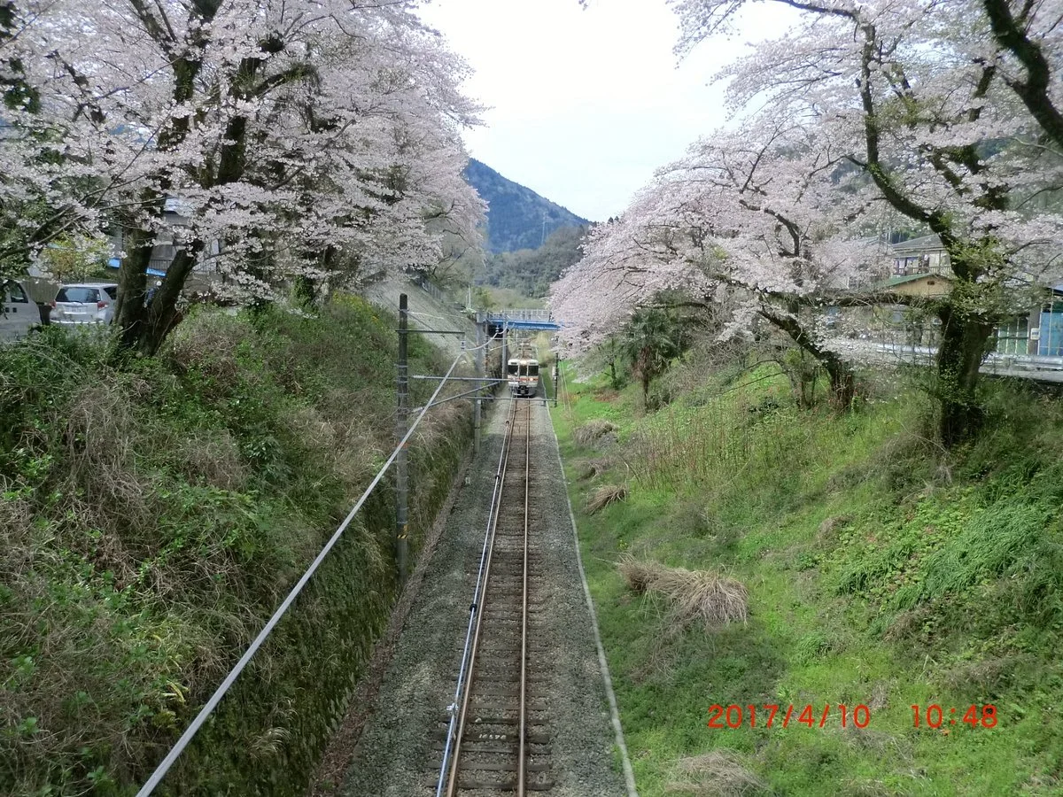 Yamakita Town Railway Park