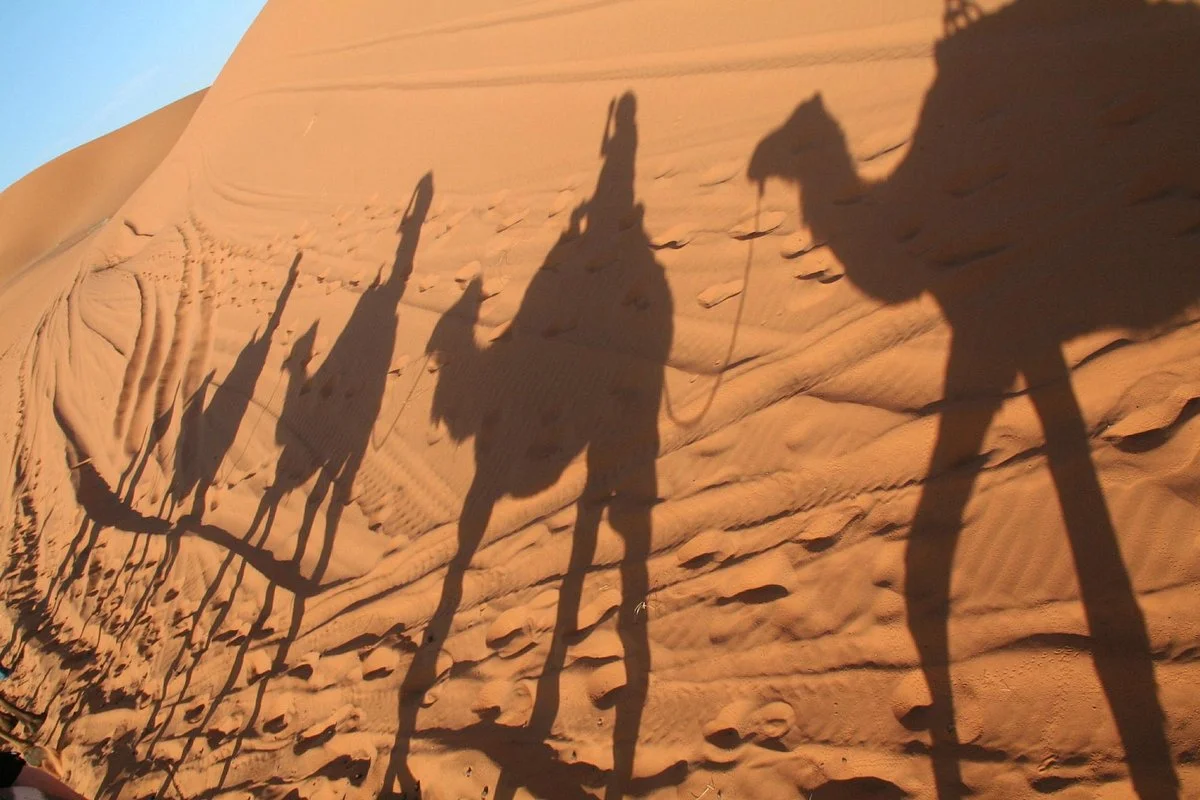 Oasis Aventure - Day Tours
