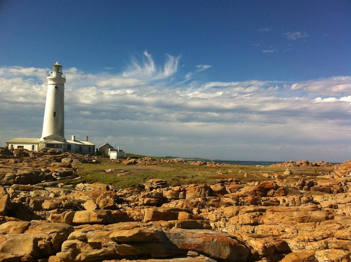 Seal Point