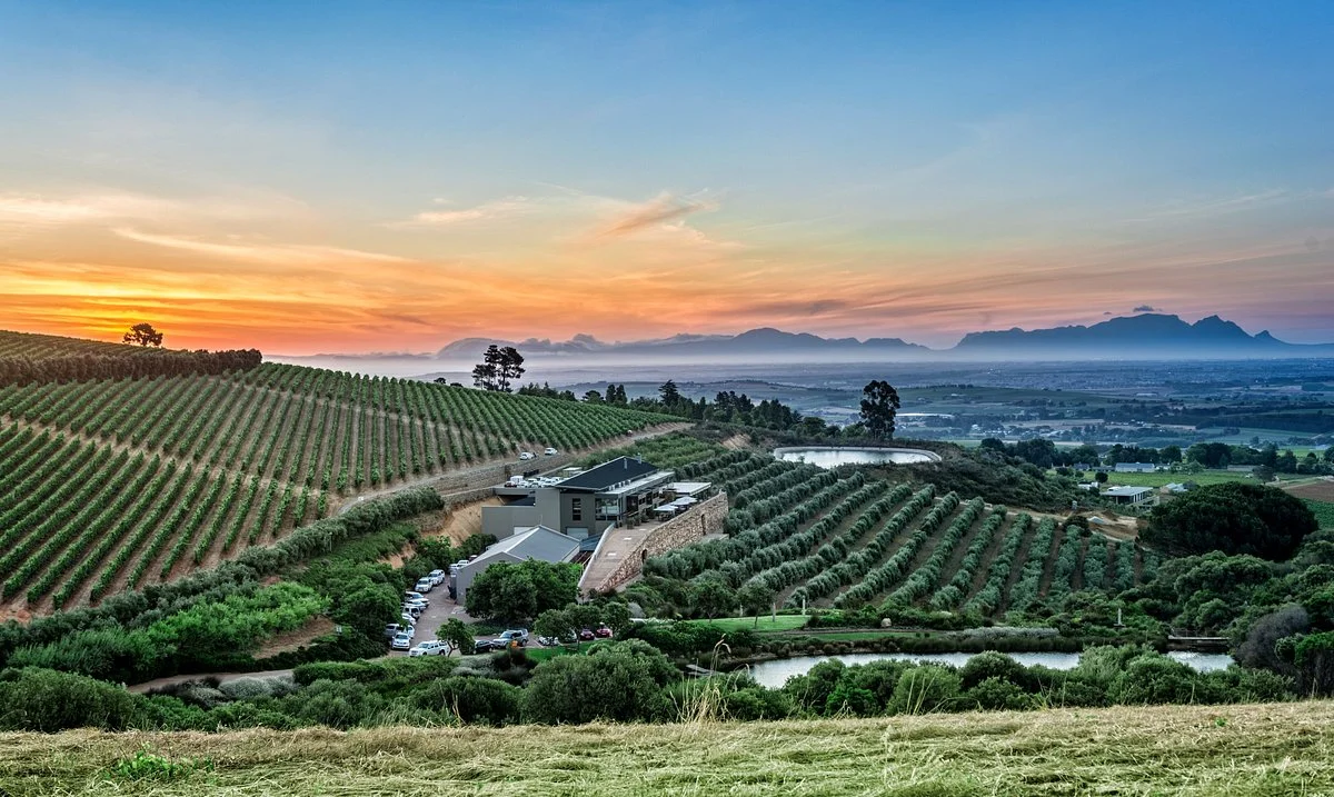 Hidden Valley Wines