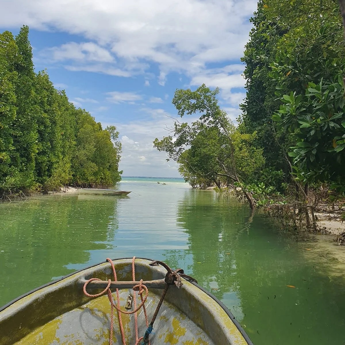 Uzi Island