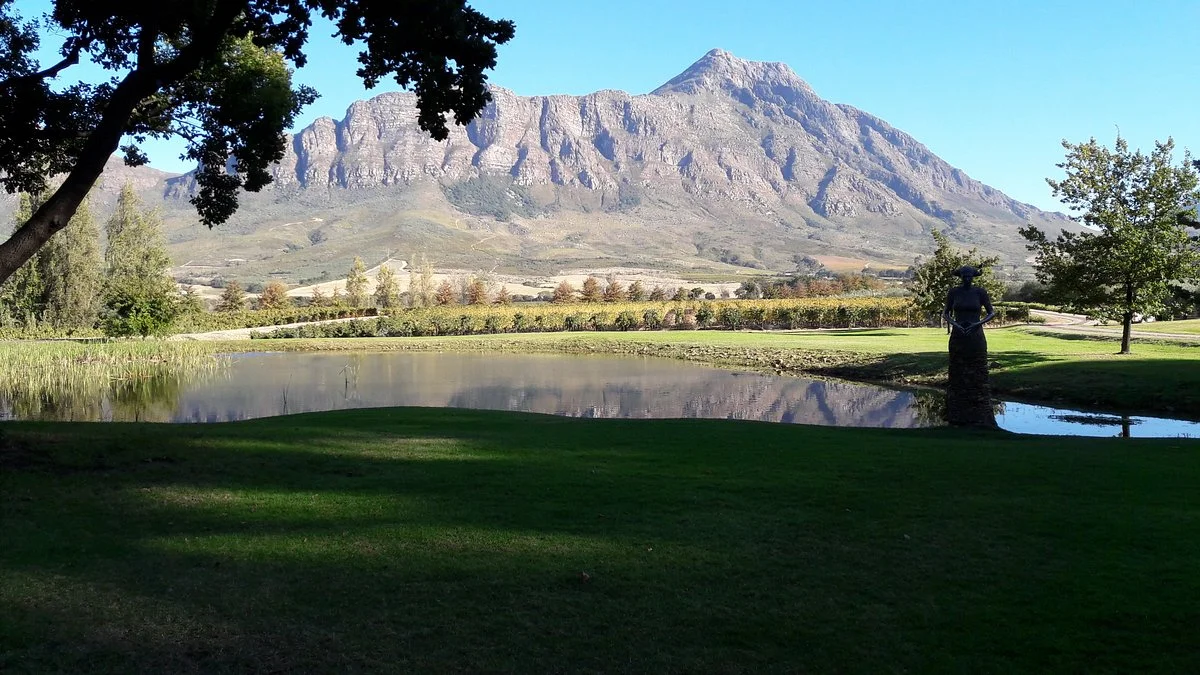 Saronsberg Cellar