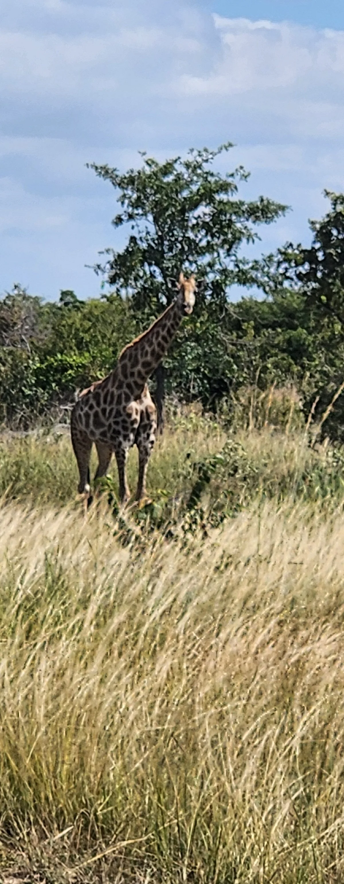 Lusaka National Park