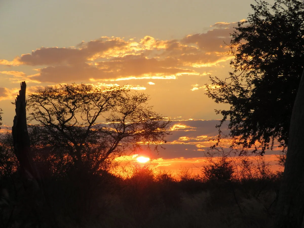 Khutse Game Reserve
