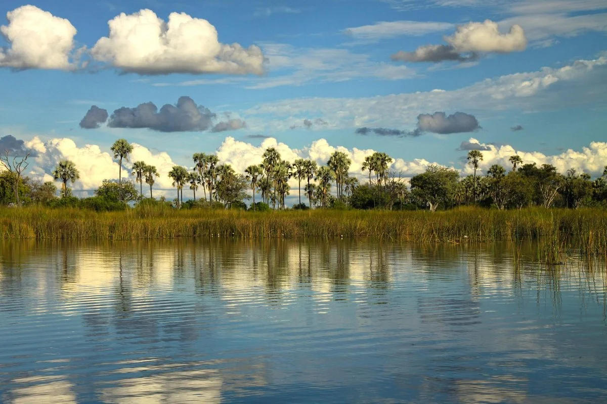 Okavango River