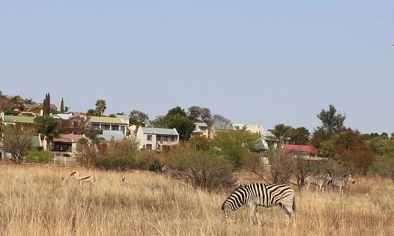 Moreleta Kloof Nature Reserve