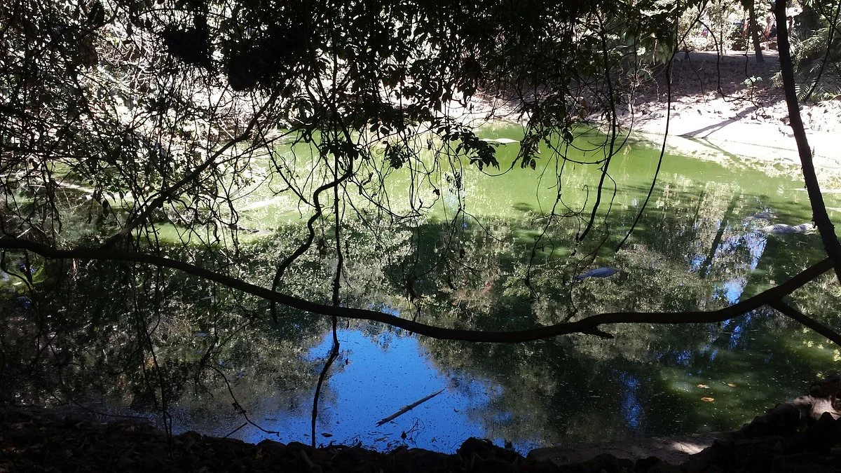 Katchikally Crocodile Pool