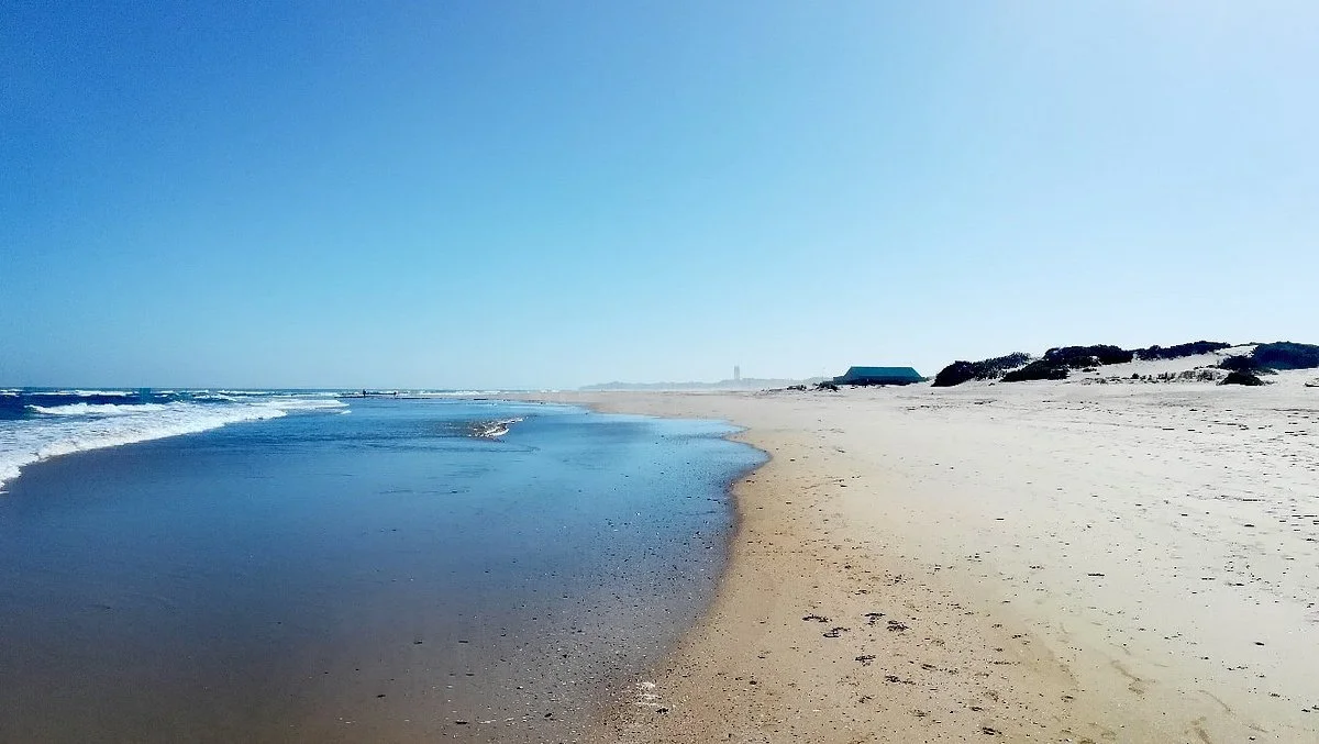 Dolphin Beach