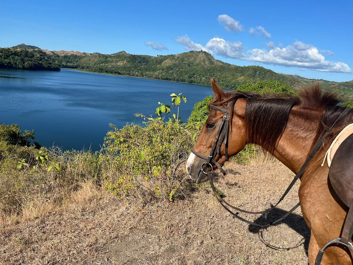 Ambaro Ranch