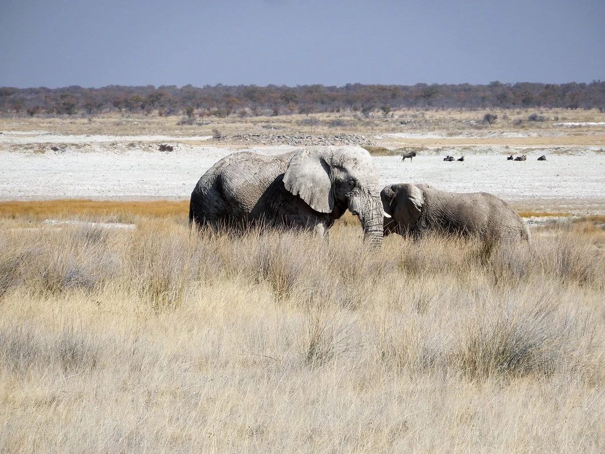 Etosha Pan