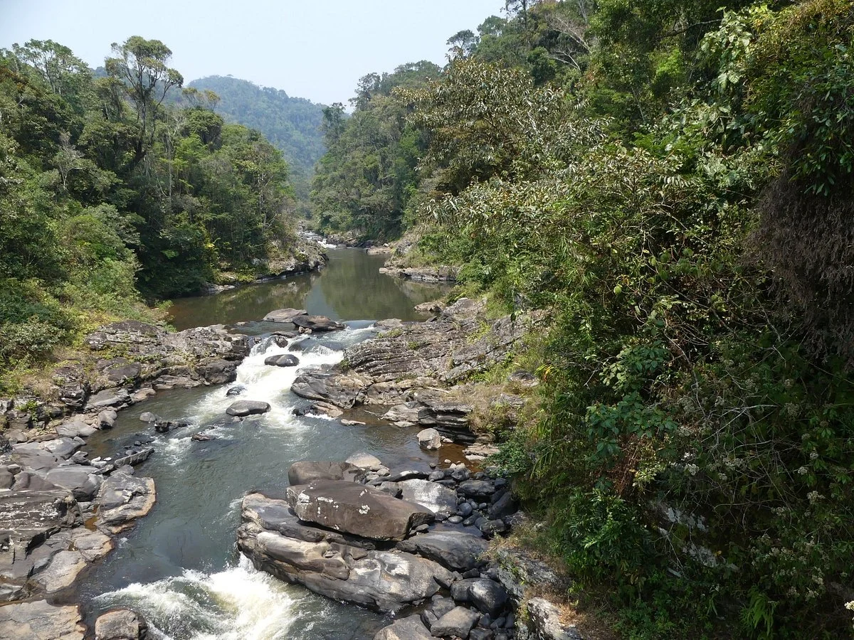 Ranomafana National Park