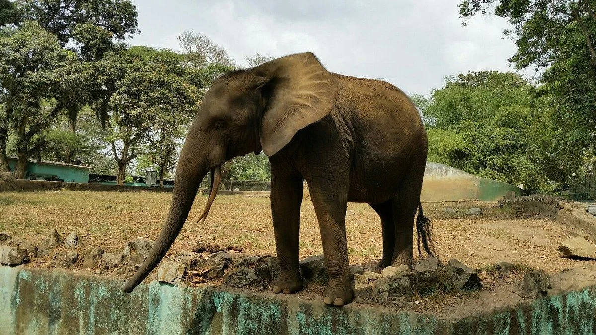 Zoo Nationale d'Abidjan