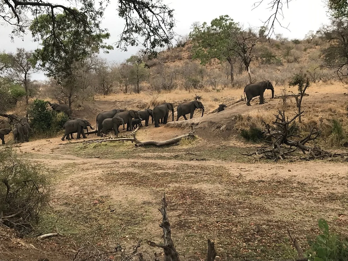 Bushmans Trail