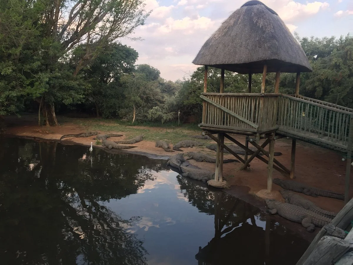Kwena Crocodile Farm