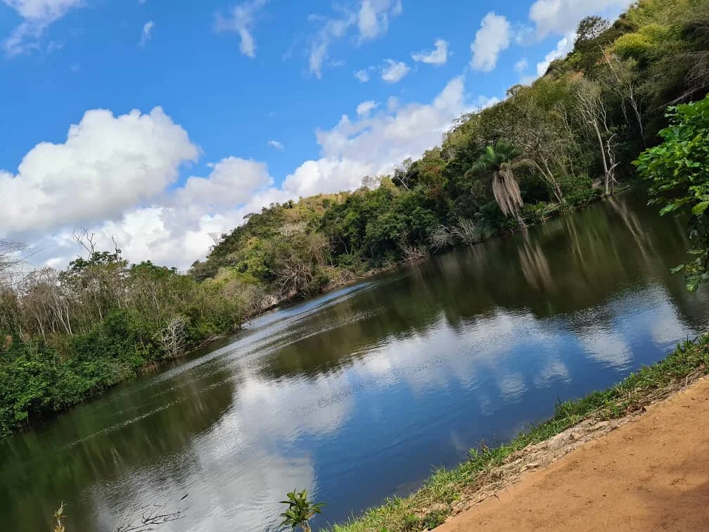 Pugu Hills Forest Reserve