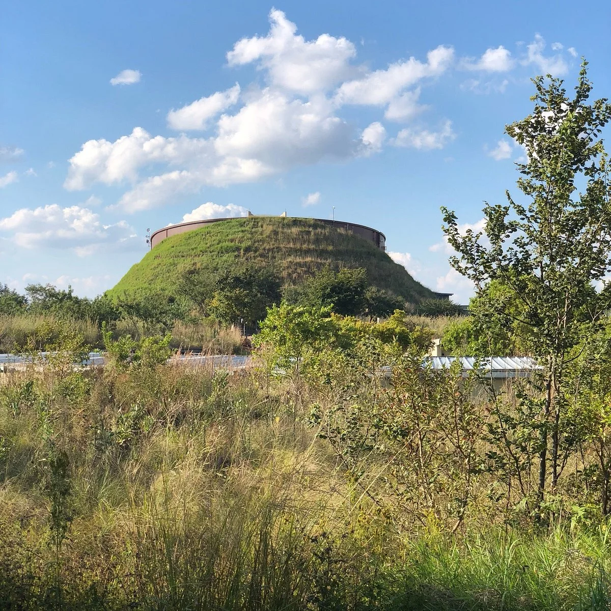 The Cradle of Humankind