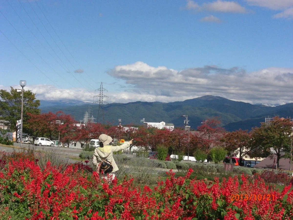 Miharasi Farm