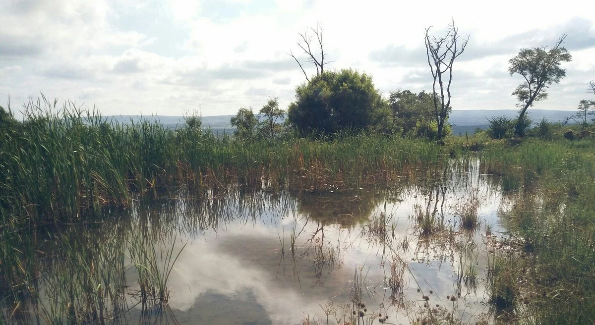 Hedianga Farm
