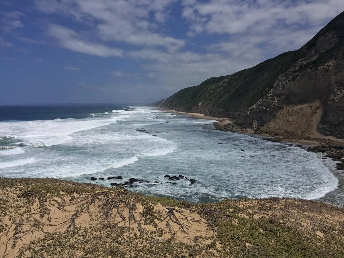 Gerickes Point