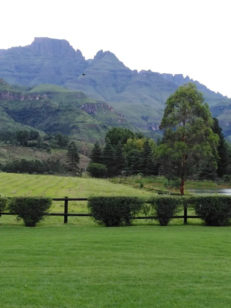 Central Drakensberg Information Centre