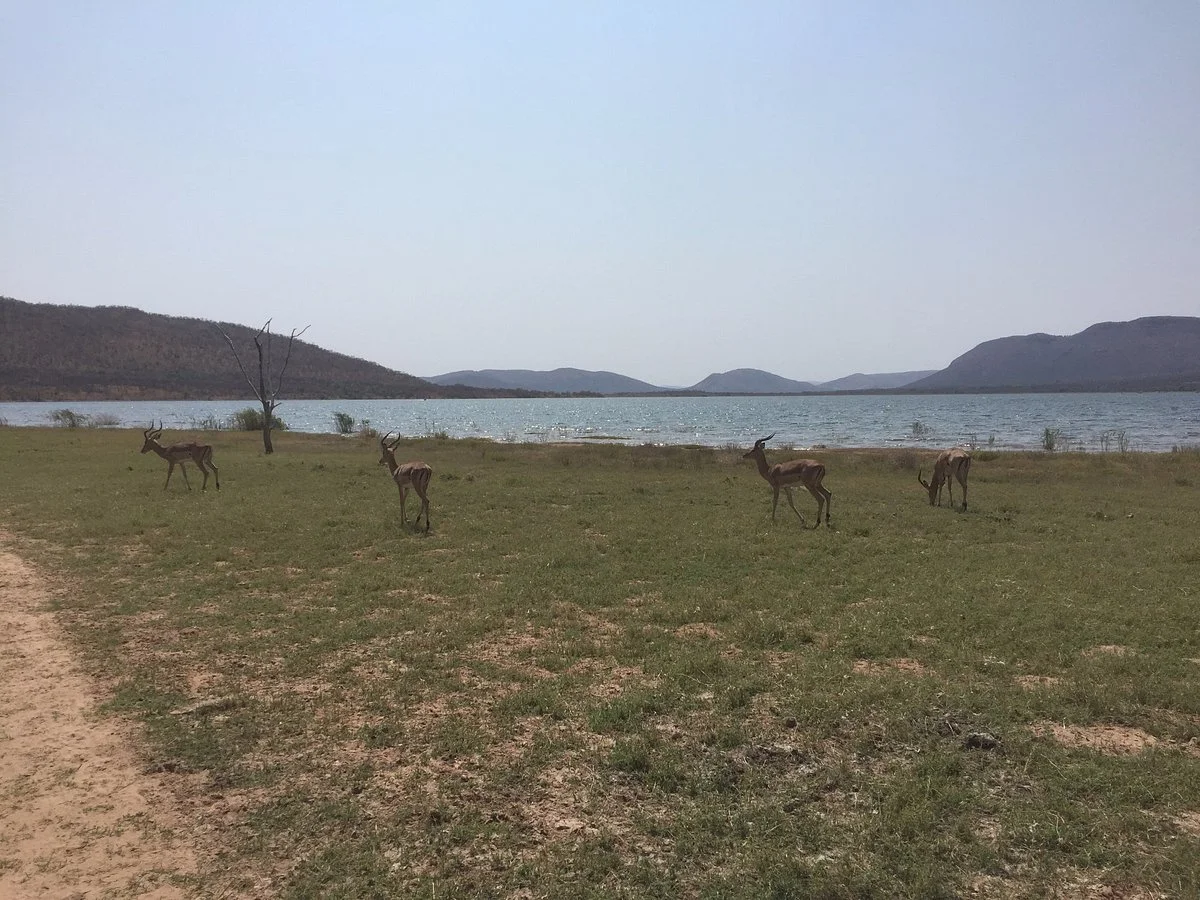 Loskop Dam Nature Reserve