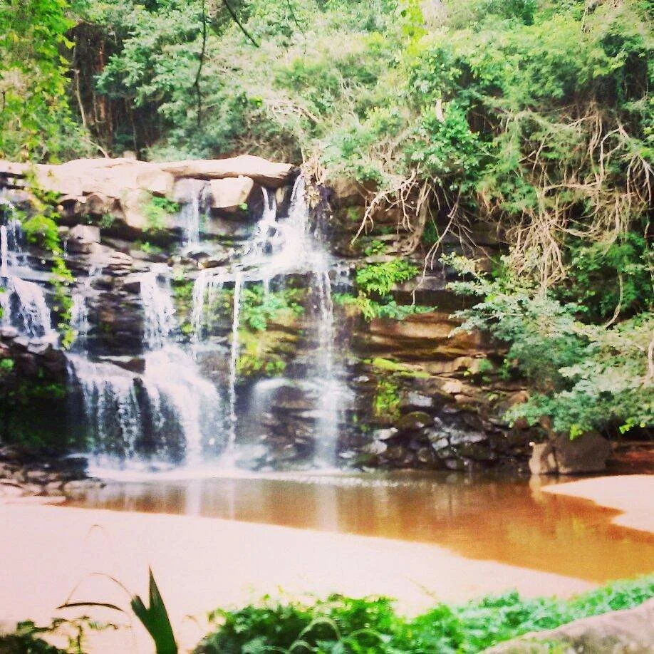 Paradise Valley Nature Reserve