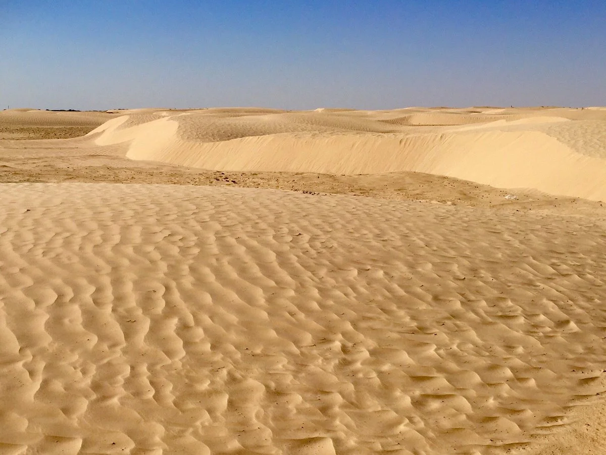 Tunisian Sahara