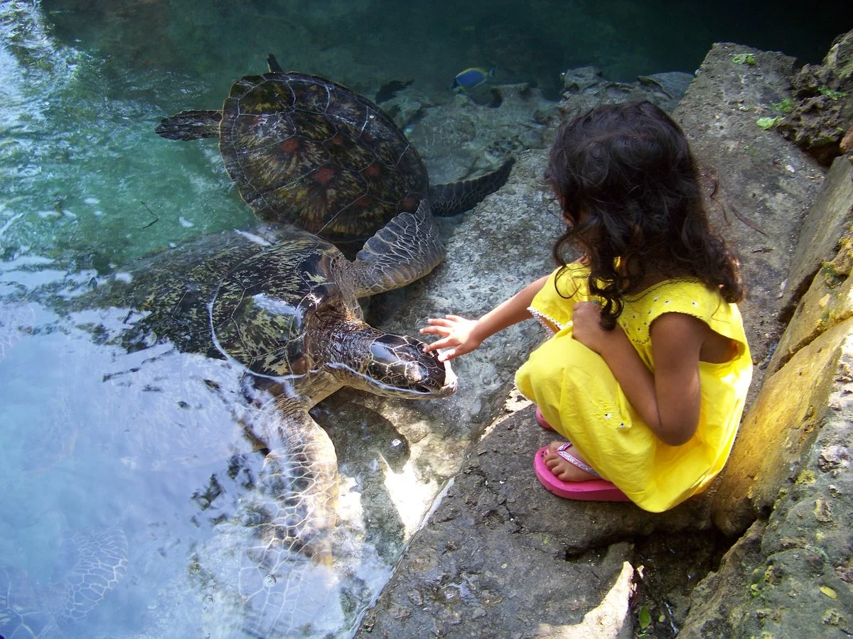 Baraka Natural Aquarium - Nungwi