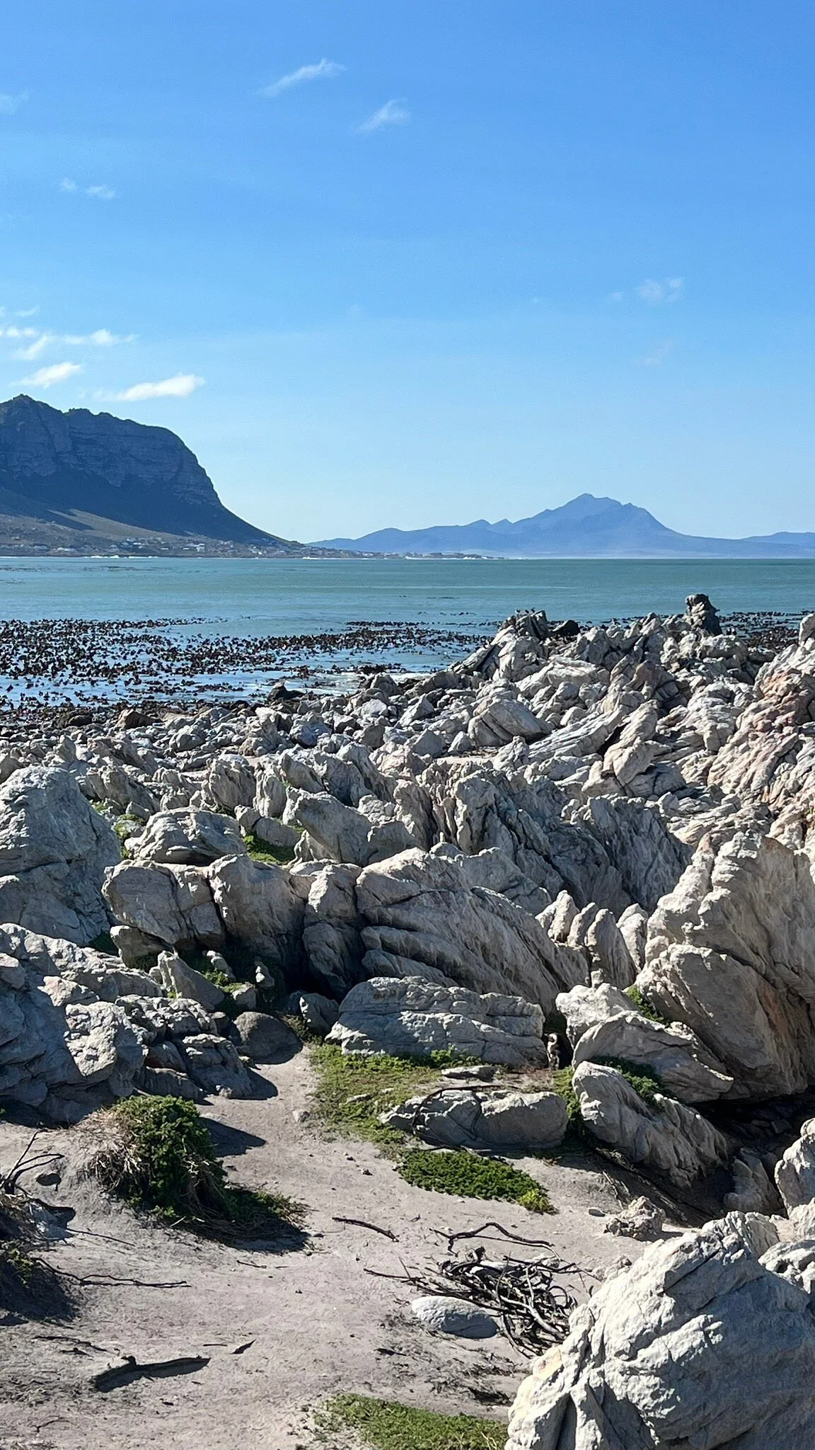 Betty's Bay Main Beach