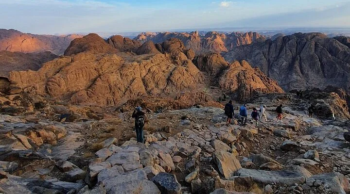 South Sinai Camel Festival
